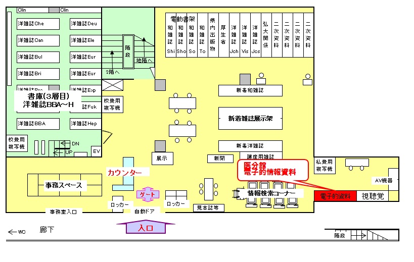 医学部分館１階